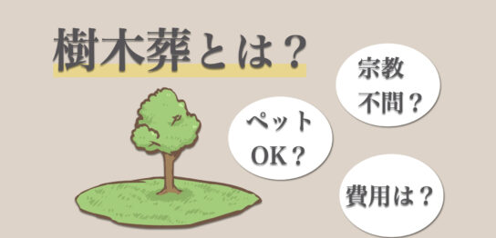 樹木葬とは？一般墓と異なる埋葬の形式、宗教などについて紹介